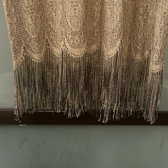 Beautiful Vintage Gold Sheer Dress - Picture 3 of 15